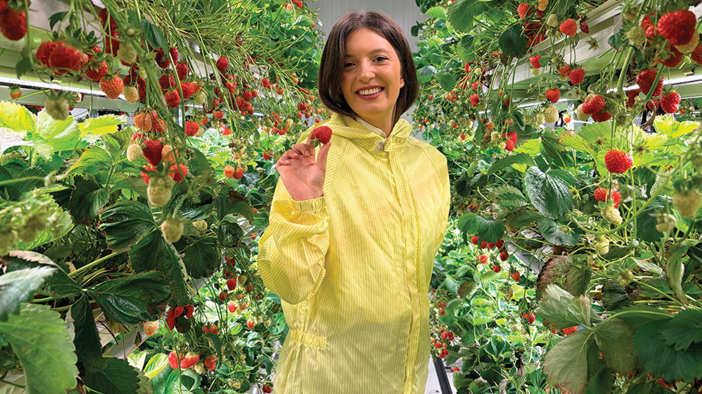 La ferme verticale qu’Ophelia Sarakinis a fondée produit 15 000 plants de fraises à la fois, en hydroponie, sur six étages. Photos : Caroline Morneau/TCN