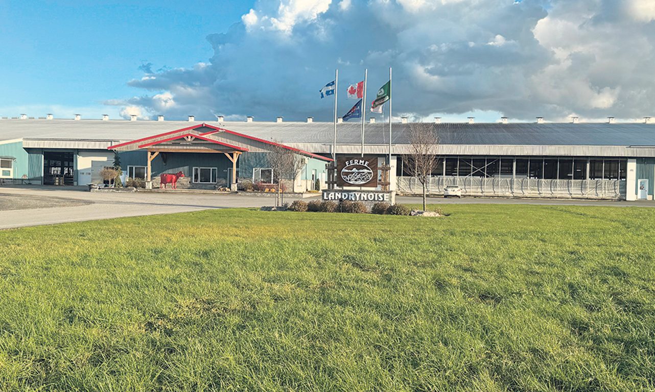 Dans l’optique d’y accueillir plus de vaches, l’une des étables de la Ferme Landrynoise, construite en 2018, vient d’être prolongée de 5 150 m2. Deux robots de traite seront ajoutés après les Fêtes, ce qui portera leur nombre à 30. Photo : Gracieuseté de Carl Landry