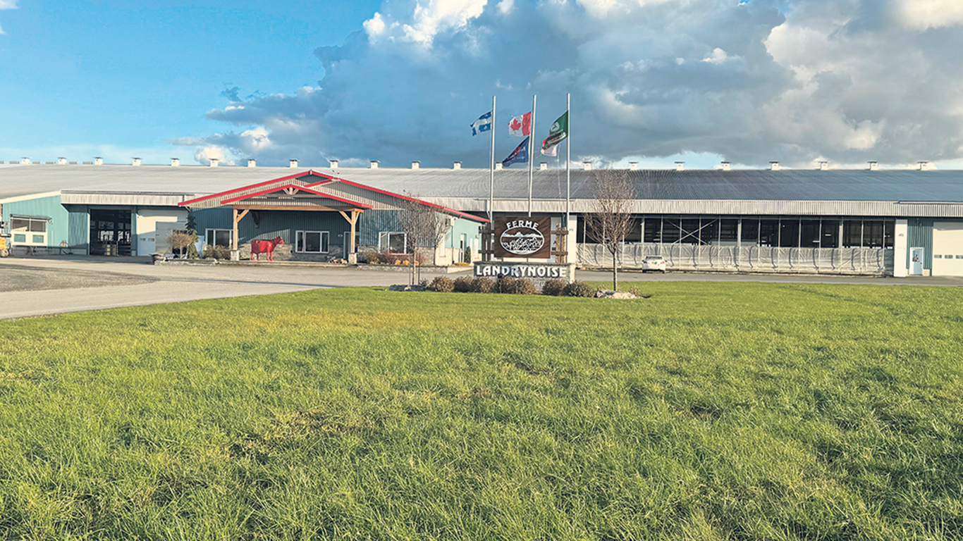 Dans l’optique d’y accueillir plus de vaches, l’une des étables de la Ferme Landrynoise, construite en 2018, vient d’être prolongée de 5 150 m2. Deux robots de traite seront ajoutés après les Fêtes, ce qui portera leur nombre à 30. Photo : Gracieuseté de Carl Landry