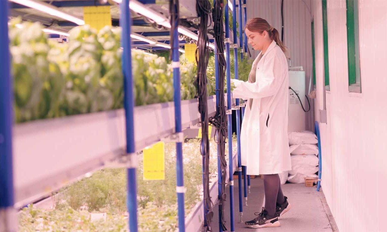 Sarah Lussier, cofondatrice de la Ferme Verti, a revitalisé une ancienne étable en ferme hydroponique dans laquelle elle produit maintenant des fines herbes fraîches cultivées dans un environnement contrôlé, dont le processus permet de réduire l’empreinte écologique et de garantir des produits de qualité. Photo : Fédération de la relève agricole du Québec