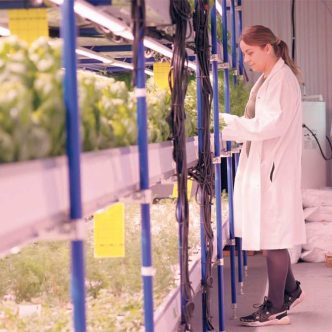 Sarah Lussier, cofondatrice de la Ferme Verti, a revitalisé une ancienne étable en ferme hydroponique dans laquelle elle produit maintenant des fines herbes fraîches cultivées dans un environnement contrôlé, dont le processus permet de réduire l’empreinte écologique et de garantir des produits de qualité. Photo : Fédération de la relève agricole du Québec