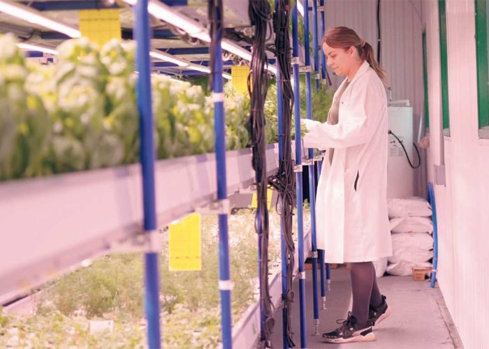 Sarah Lussier, cofondatrice de la Ferme Verti, a revitalisé une ancienne étable en ferme hydroponique dans laquelle elle produit maintenant des fines herbes fraîches cultivées dans un environnement contrôlé, dont le processus permet de réduire l’empreinte écologique et de garantir des produits de qualité. Photo : Fédération de la relève agricole du Québec