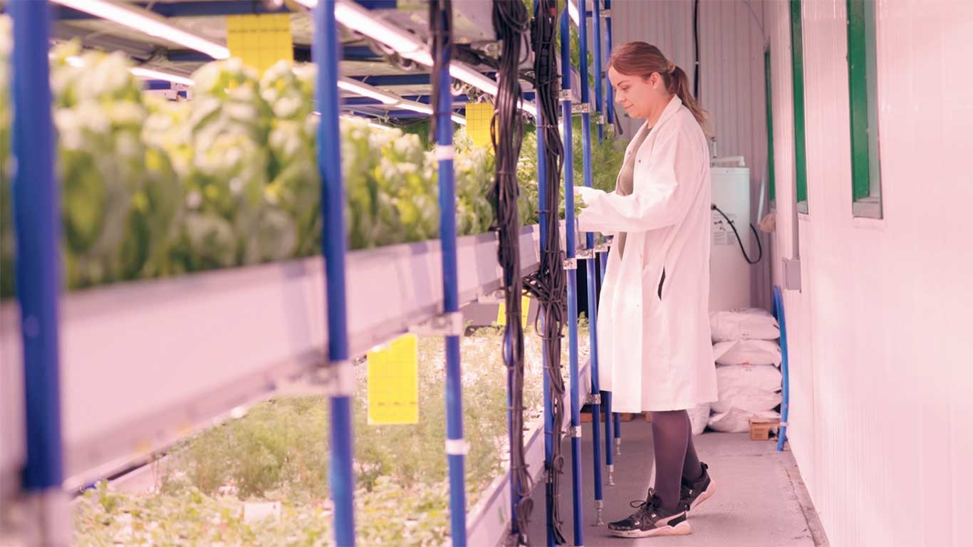 Sarah Lussier, cofondatrice de la Ferme Verti, a revitalisé une ancienne étable en ferme hydroponique dans laquelle elle produit maintenant des fines herbes fraîches cultivées dans un environnement contrôlé, dont le processus permet de réduire l’empreinte écologique et de garantir des produits de qualité. Photo : Fédération de la relève agricole du Québec