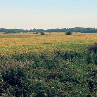 La terre nouvellement acquise par la Fiducie UPA-Fondaction est située à la rencontre des municipalités de Saint-Bruno-de-Montarville, de Varennes et de Sainte-Julie, en banlieue de Montréal. Photo : Gracieuseté de la Fiducie UPA-Fondaction