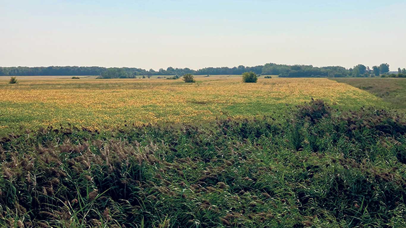 La terre nouvellement acquise par la Fiducie UPA-Fondaction est située à la rencontre des municipalités de Saint-Bruno-de-Montarville, de Varennes et de Sainte-Julie, en banlieue de Montréal. Photo : Gracieuseté de la Fiducie UPA-Fondaction