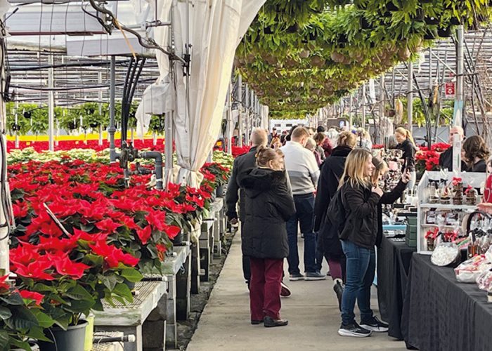 Les Serres Cléroux de Laval ont eu l’idée d’organiser un marché de Noël en pleine serre. Photos : Geneviève Quessy