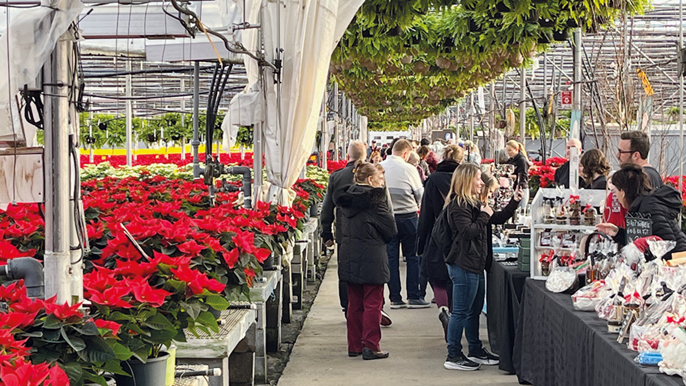 Les Serres Cléroux de Laval ont eu l’idée d’organiser un marché de Noël en pleine serre. Photos : Geneviève Quessy