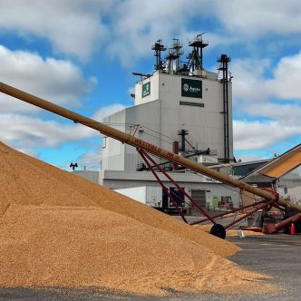 Avec la fin de Sollio & Grains Québec, les producteurs sont revenus livrer leur grain chez Agiska Coopérative, qui a dépassé, en quelques mois, ses objectifs de commercialisation. Photo : Agiska Coopérative