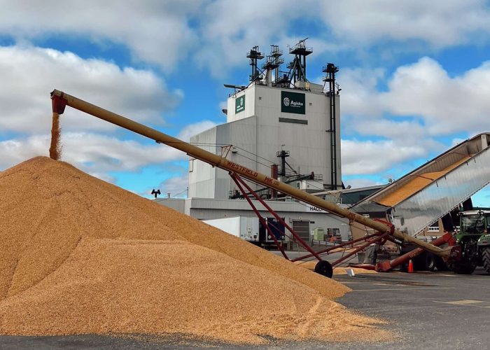 Avec la fin de Sollio & Grains Québec, les producteurs sont revenus livrer leur grain chez Agiska Coopérative, qui a dépassé, en quelques mois, ses objectifs de commercialisation. Photo : Agiska Coopérative