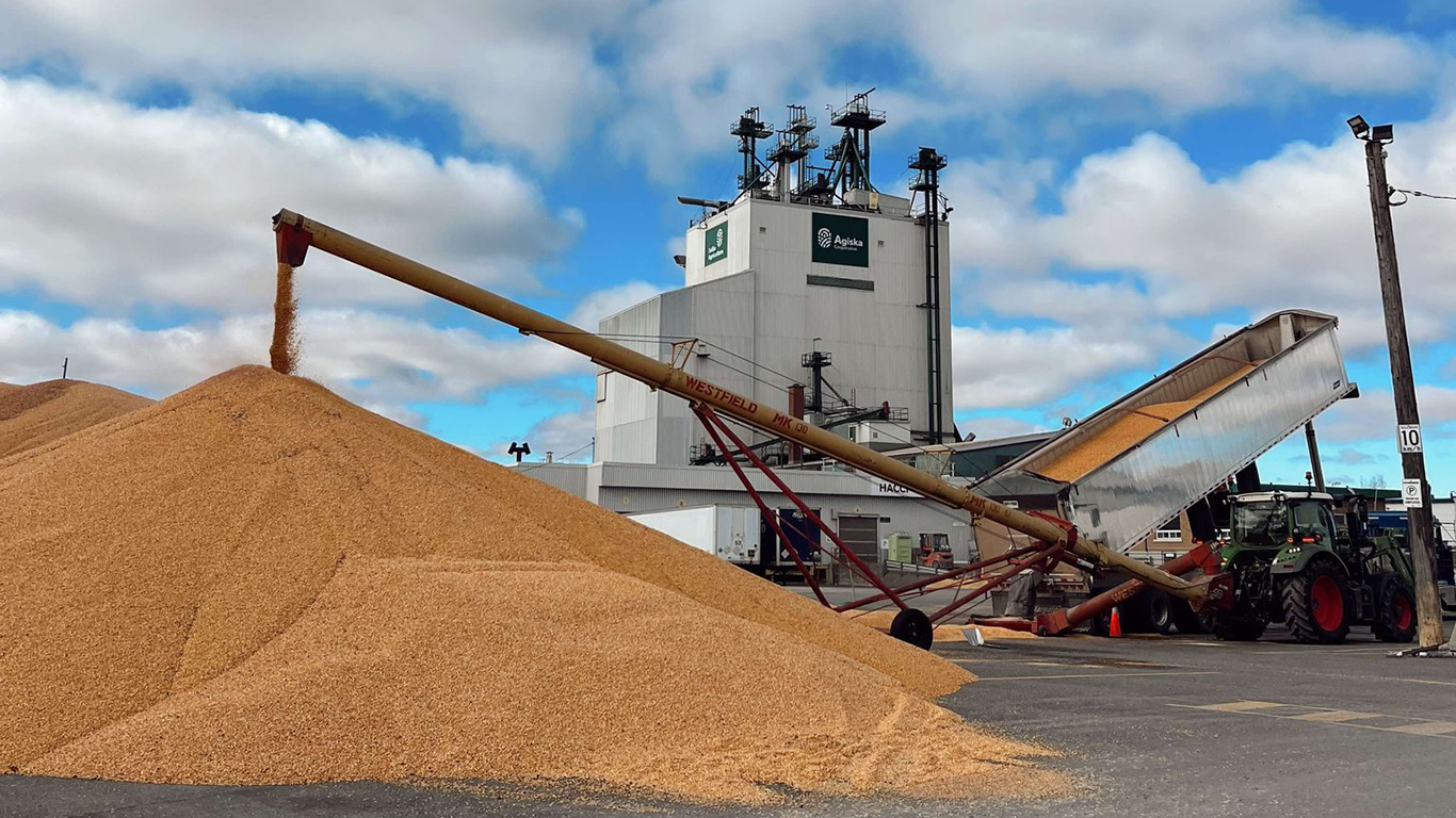 Avec la fin de Sollio & Grains Québec, les producteurs sont revenus livrer leur grain chez Agiska Coopérative, qui a dépassé, en quelques mois, ses objectifs de commercialisation. Photo : Agiska Coopérative