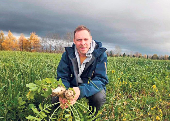 Guillaume Dallaire affirme que les conditions météorologiques, autant pour la croissance des cultures que pour les travaux au champ, ont été fabuleuses cette année. Même les engrais verts ont atteint des tailles rarement vues. Photo : Gracieuseté de la Ferme Tournevent