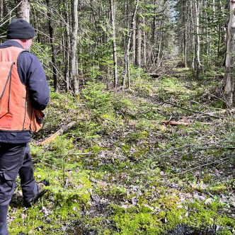 Les producteurs forestiers québécois accusent le gouvernement québécois de favoriser la forêt publique au détriment de la forêt privée. Photo : Martin Ménard/Archives TCN