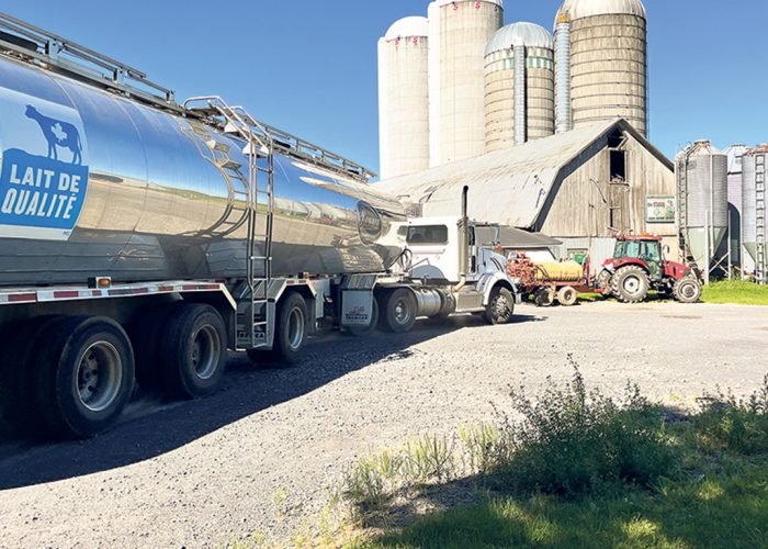 La teneur en gras moyenne du lait livré au Québec est passée de 4,25 kg par hectolitre à 4,32 kg dans la dernière année. Photo : Archives/TCN