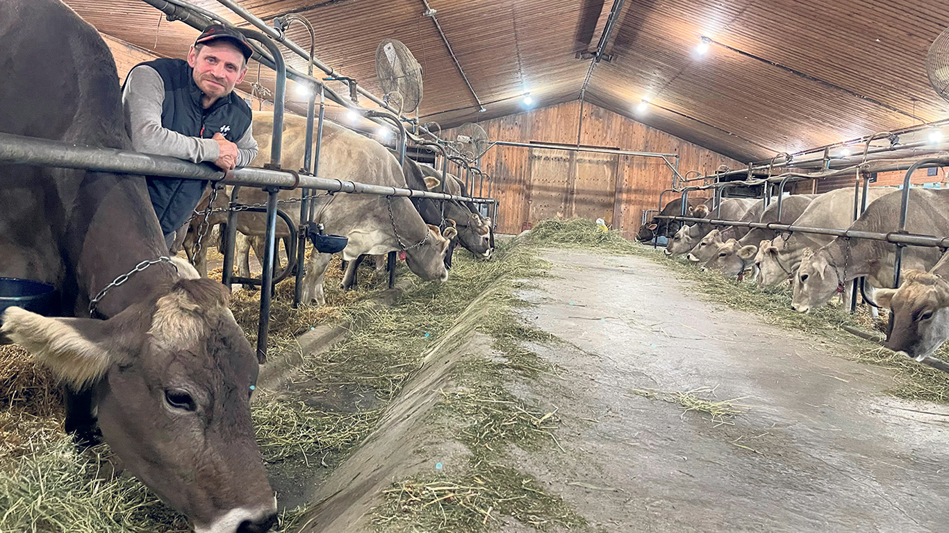 Sem Lehmann transforme tout le lait issu de son troupeau de Suisses brunes élevé au pâturage, en été. Il considère que le lait de cette race est avantageux pour la fabrication de fromages fins. Photo : Gracieuseté de la Fromagerie Lehmann