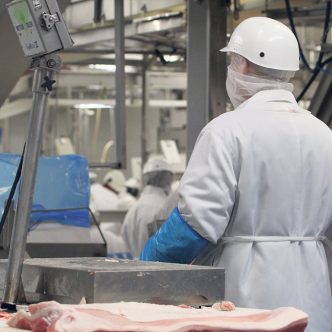 Selon le Groupe Agéco, les usines québécoises de transformation de porc, de plus petites tailles que leurs concurrentes américaines, ne peuvent pas profiter des mêmes économies d’échelle. Photo : Archives/TCN