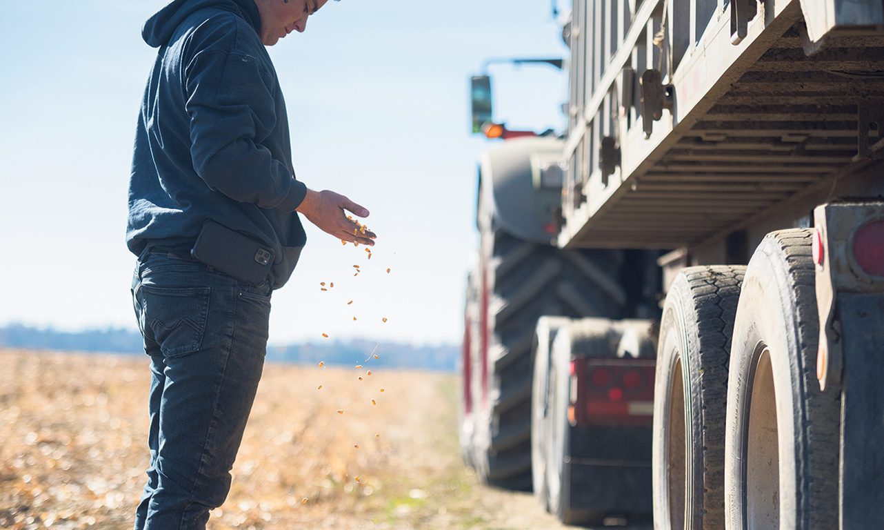 Selon les trois analystes consultés par La Terre, il n’y aura pas de miracle, cette année, dans la vente de grains. Photo : Martin Ménard/Archives TCN