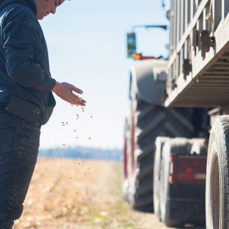 Selon les trois analystes consultés par La Terre, il n’y aura pas de miracle, cette année, dans la vente de grains. Photo : Martin Ménard/Archives TCN