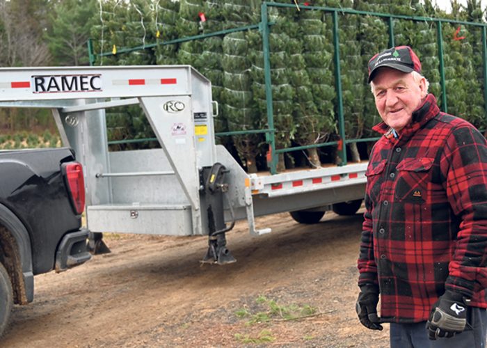 Ces derniers jours, Michel Paquette et ses employés ont récolté environ 7 000 arbres et les ont livrés dans les commerces à grande surface. Photos : Pierre Saint-Yves