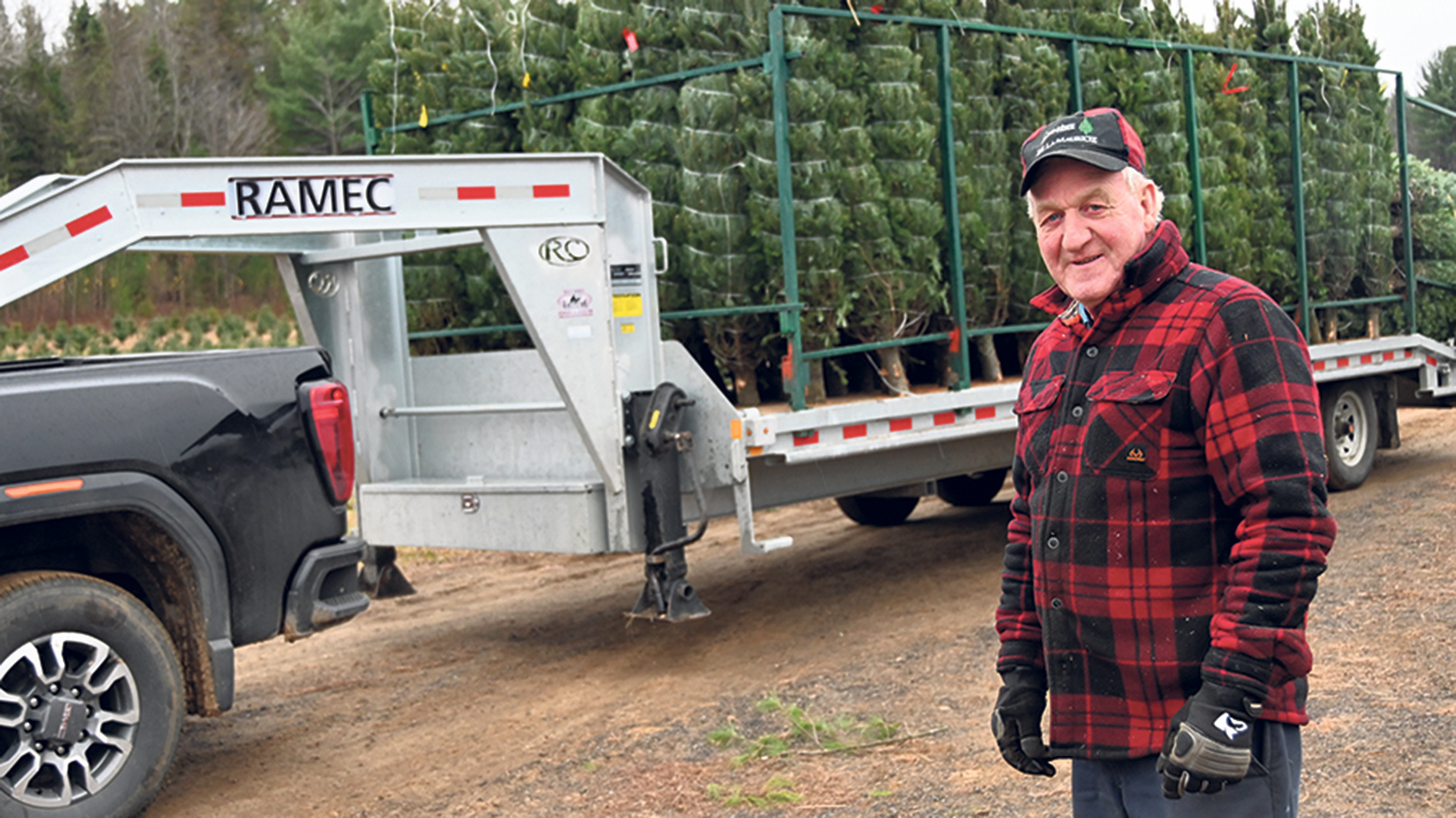 Ces derniers jours, Michel Paquette et ses employés ont récolté environ 7 000 arbres et les ont livrés dans les commerces à grande surface. Photos : Pierre Saint-Yves