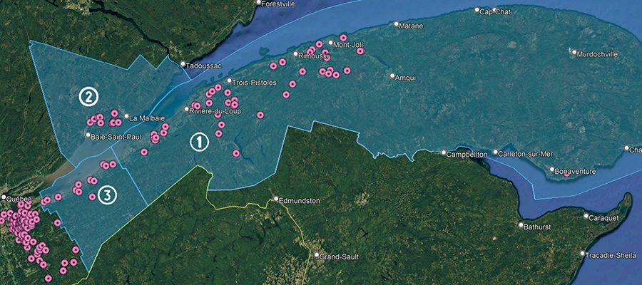 Figure 1 : Les zones impliquées dans le projet visant à créer des zones exemptes du virus du syndrome reproducteur et respiratoire porcin dans les régions du Bas-Saint-Laurent, de Charlevoix, ainsi que dans les MRC de L’Islet et de Montmagny. Photo : Gracieuseté du CDPQ