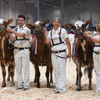 Les vaches Joy et Montana, qui appartiennent aux sœurs Bianca (au centre) et Vicky Foley (à droite), ont été sacrées grandes championnes, à la Royale de Toronto pour la race Ayrshire. La vache Phoebe, de la ferme Lookout Holsteins, en Estrie, complète le trio gagnant pour la race. Photo : Cowsmopolitan