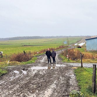 Le boviduc sera construit à l’intersection de la future piste cyclable et de la traverse de bovins. Photo : Gracieuseté de Chloé Gouin