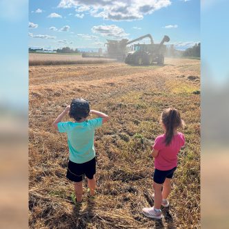 Malgré ses 535 hectares en culture, la Ferme de Ste-Victoire ne possède pas de moissonneuse-batteuse et dégage plus de profits à faire tout récolter à forfait. Photo : Gracieuseté de la Ferme de Ste-Victoire