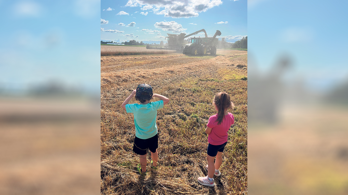 Malgré ses 535 hectares en culture, la Ferme de Ste-Victoire ne possède pas de moissonneuse-batteuse et dégage plus de profits à faire tout récolter à forfait. Photo : Gracieuseté de la Ferme de Ste-Victoire