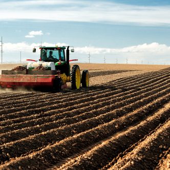 Deux entreprises canadiennes ont été citées dans des poursuites distinctes portant sur la fixation des prix des frites surgelées au sud de la frontière. Photo : Shutterstock