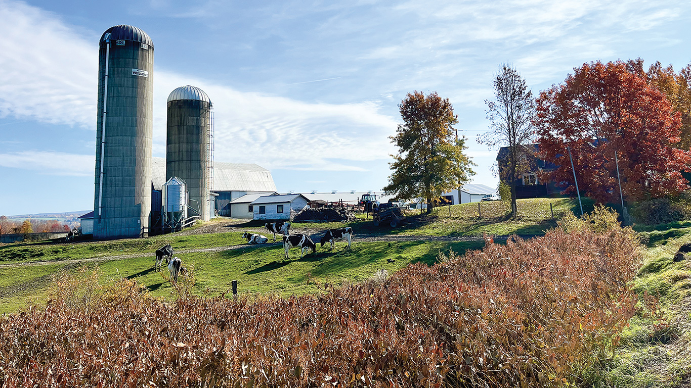 Il peut s’avérer payant de planifier plusieurs années à l’avance sa retraite et la vente de sa ferme. Photo : Martin Ménard/Archives TCN