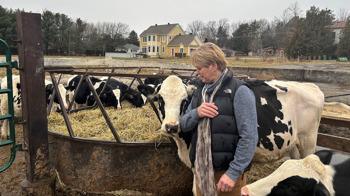 Jacinthe Guilbert ne délaissera pas de sitôt sa passion pour la haute génétique bovine. Elle continuera d’élever quelques animaux et de participer à des expositions. Photo : Gracieuseté de Jacinthe Guilbert