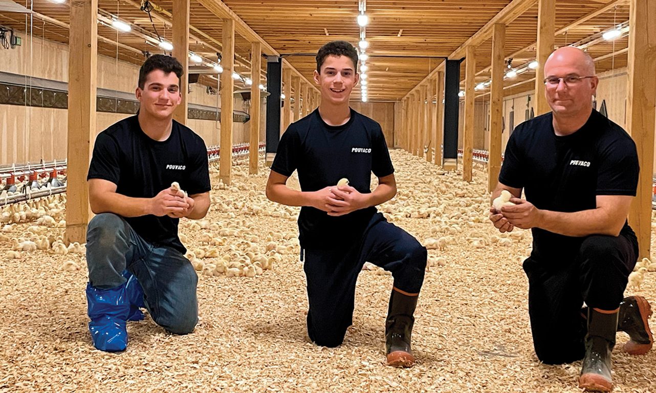 Arnaud, Émile et Dominique Leblanc avec leurs poussins tout juste arrivés. Photo : Gracieuseté de Dominique Leblanc